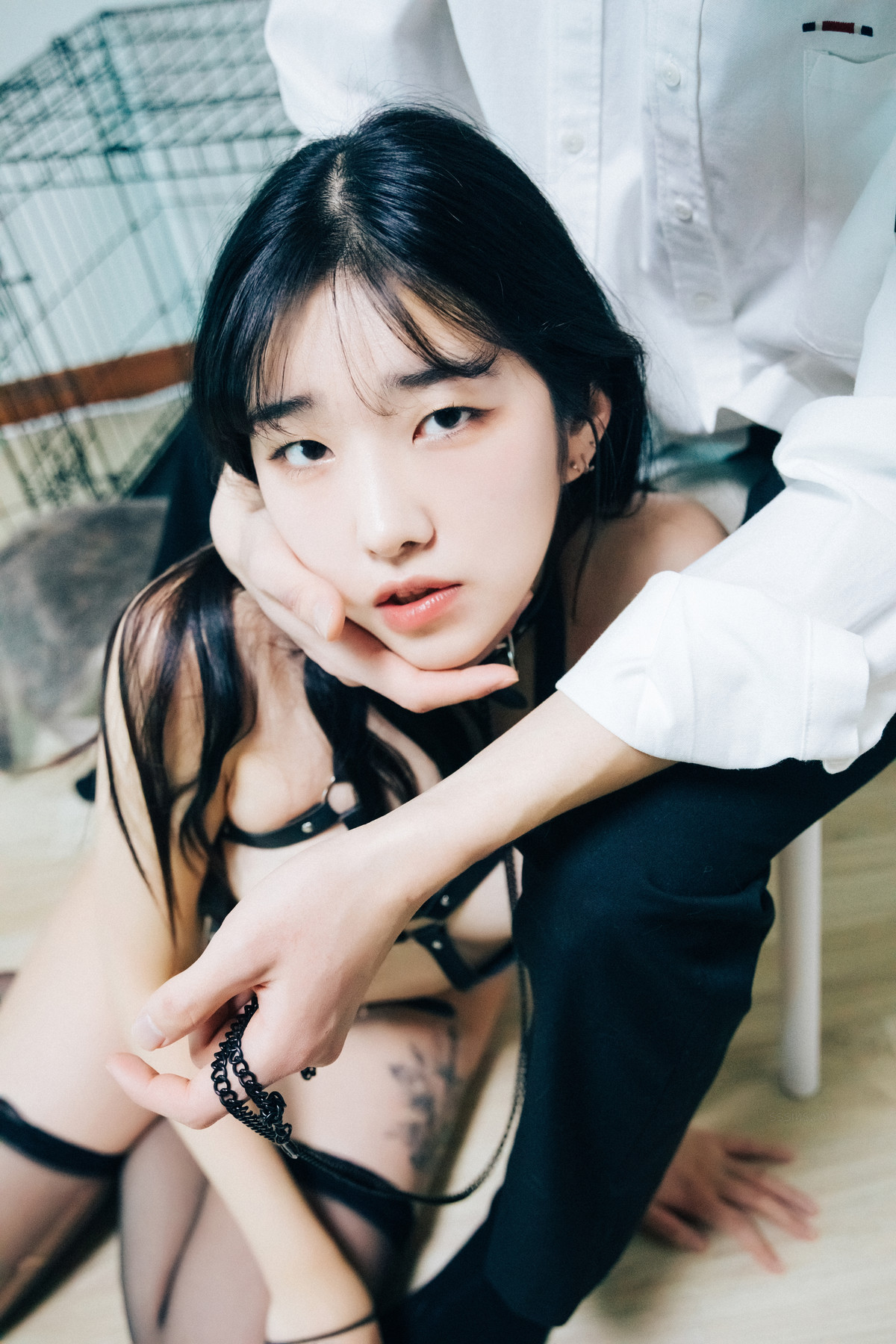 Sonson 손손, [Loozy] Dog Plays Set.01の写真 14