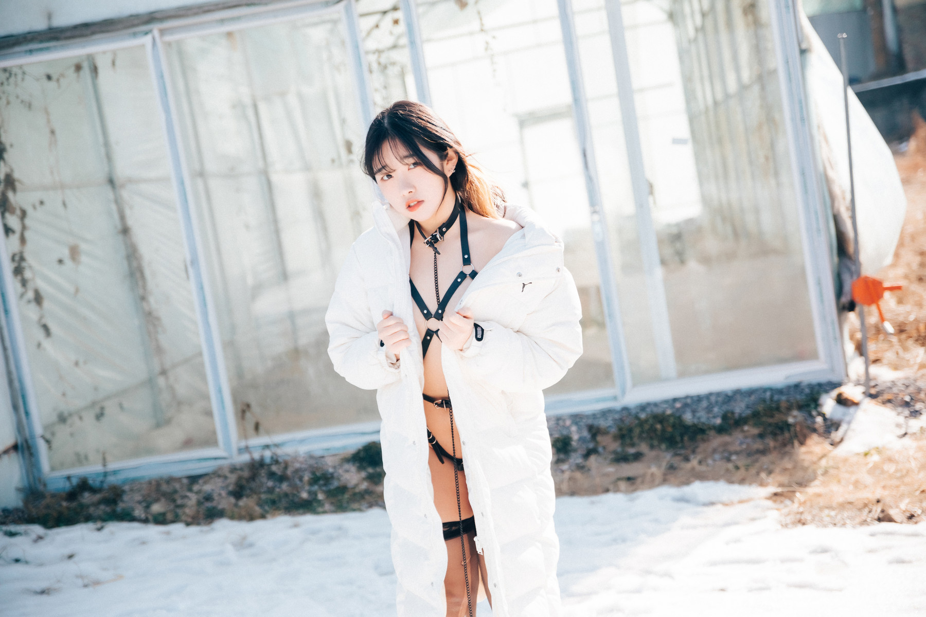 Sonson 손손, [Loozy] Dog Plays Set.02の写真 2