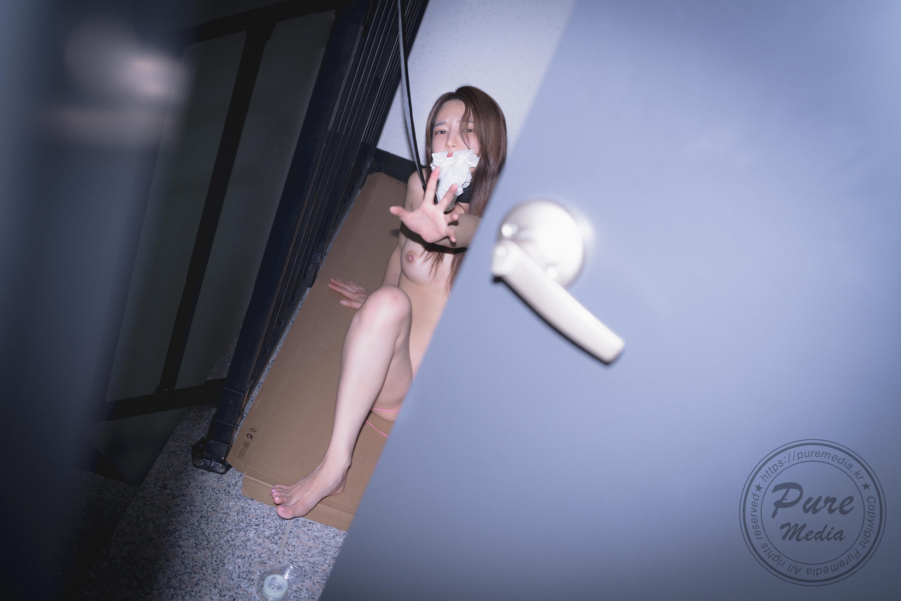 Yeha 예하, [PURE MEDIA] Vol.265 Hungry Bitch in The Stairwell Set.03の写真 66
