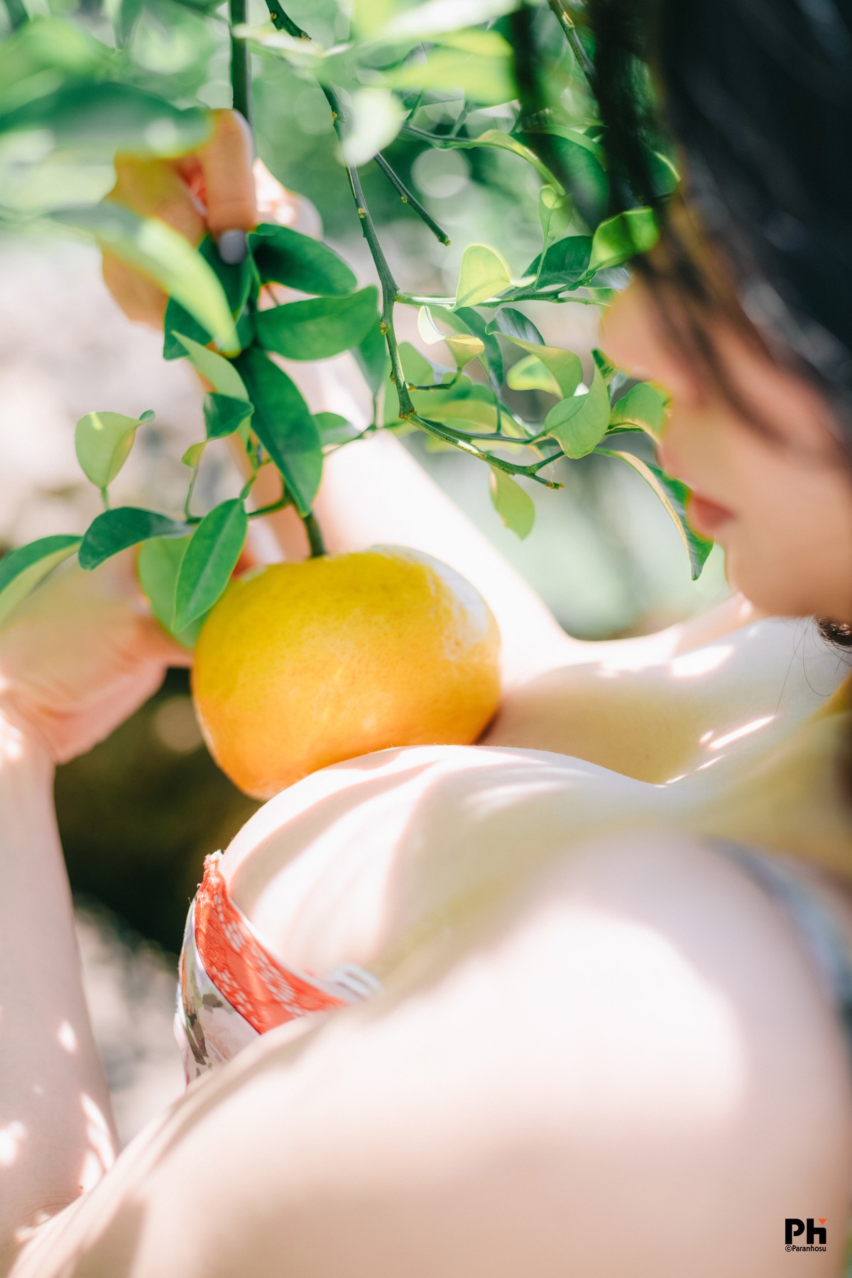 Sia_S22, [Paranhosu] Vol.8 Adorable Siaの写真 16