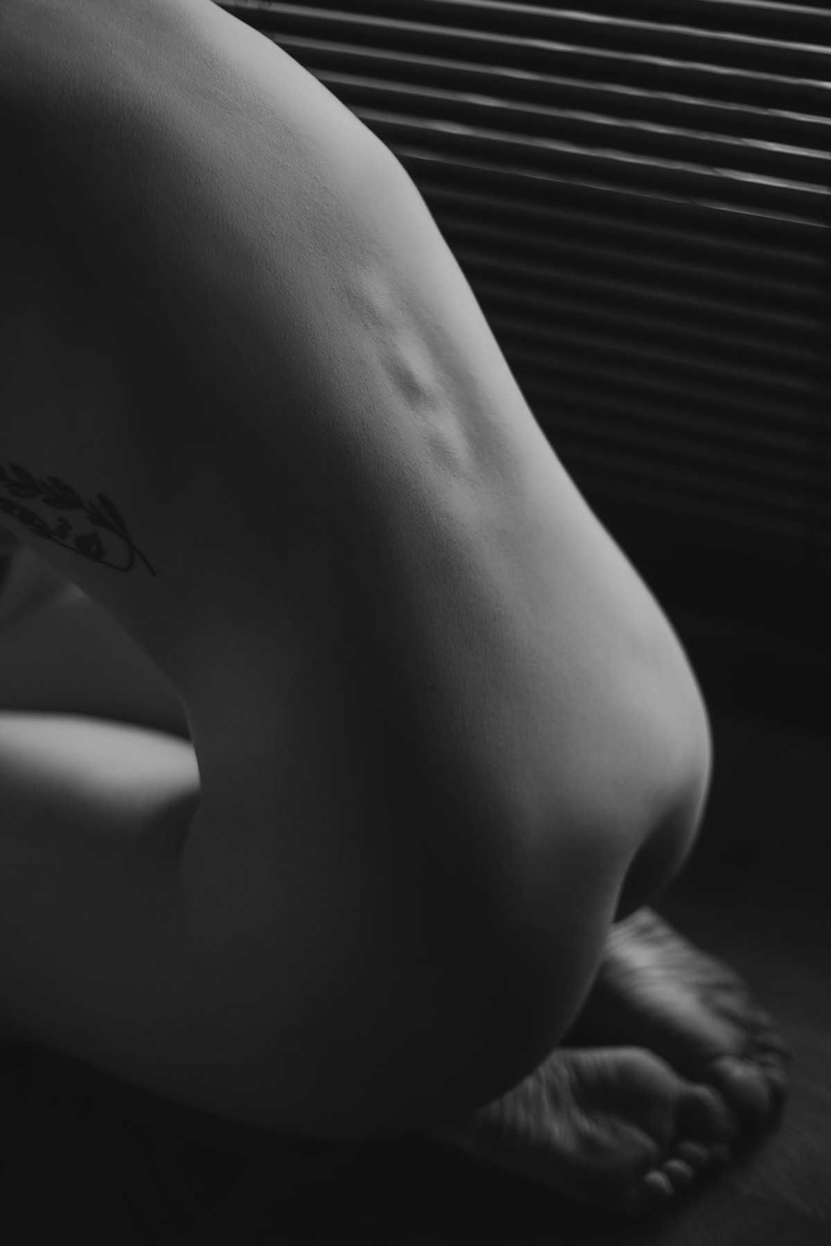Kuromelo 黒メル, [DCP-snaps] Black & Whiteの写真 46