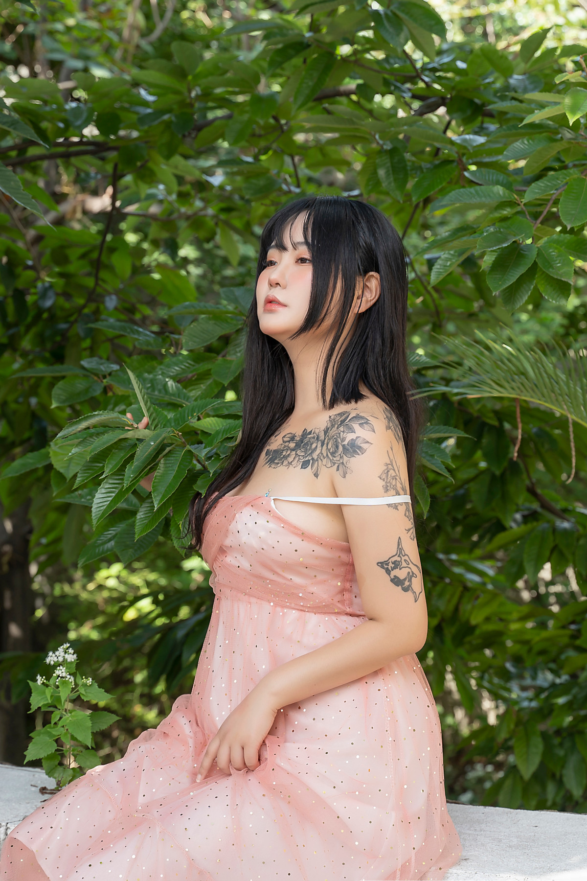 Jeon BoYeon 전보연, [SAINT Photolife] Vol.3 MILK Set.01の写真 10