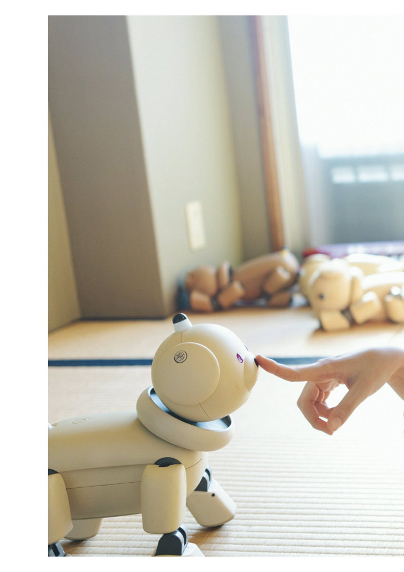 Yoko Shogenji 正源司陽子, BRODY 2024 No.02 (ブロディ 2024年2月号)の写真 20