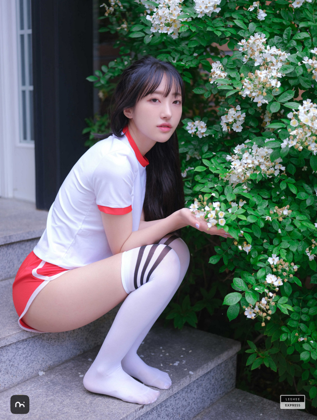 HaNari 하나리, LEEHEE EXPRESS LEBE-216A Set.01の写真 15