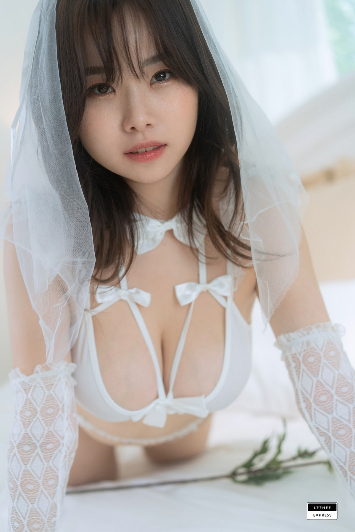 Merry LEEHEE EXPRESS LEDG-094 Set.02の写真 18