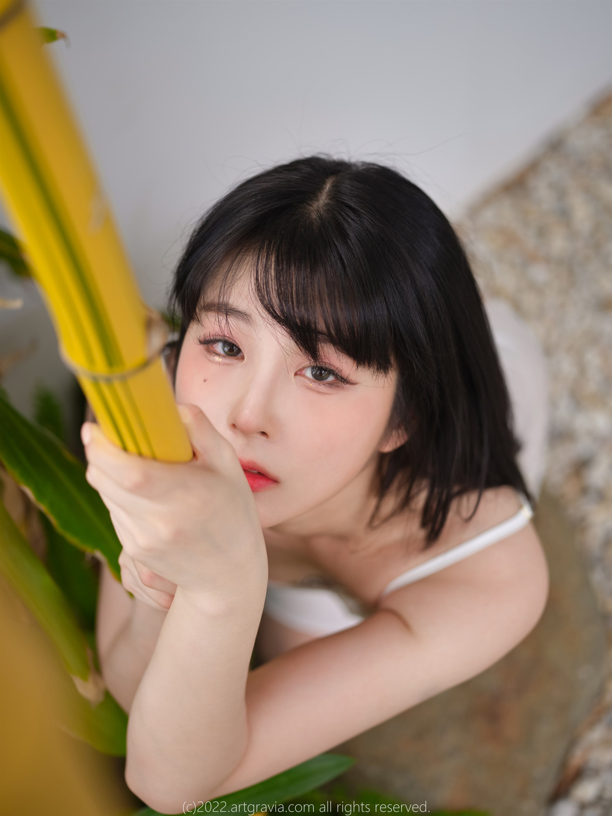 JangJoo 장주, ArtGravia Vol.454 Photobook Set.01の写真 7