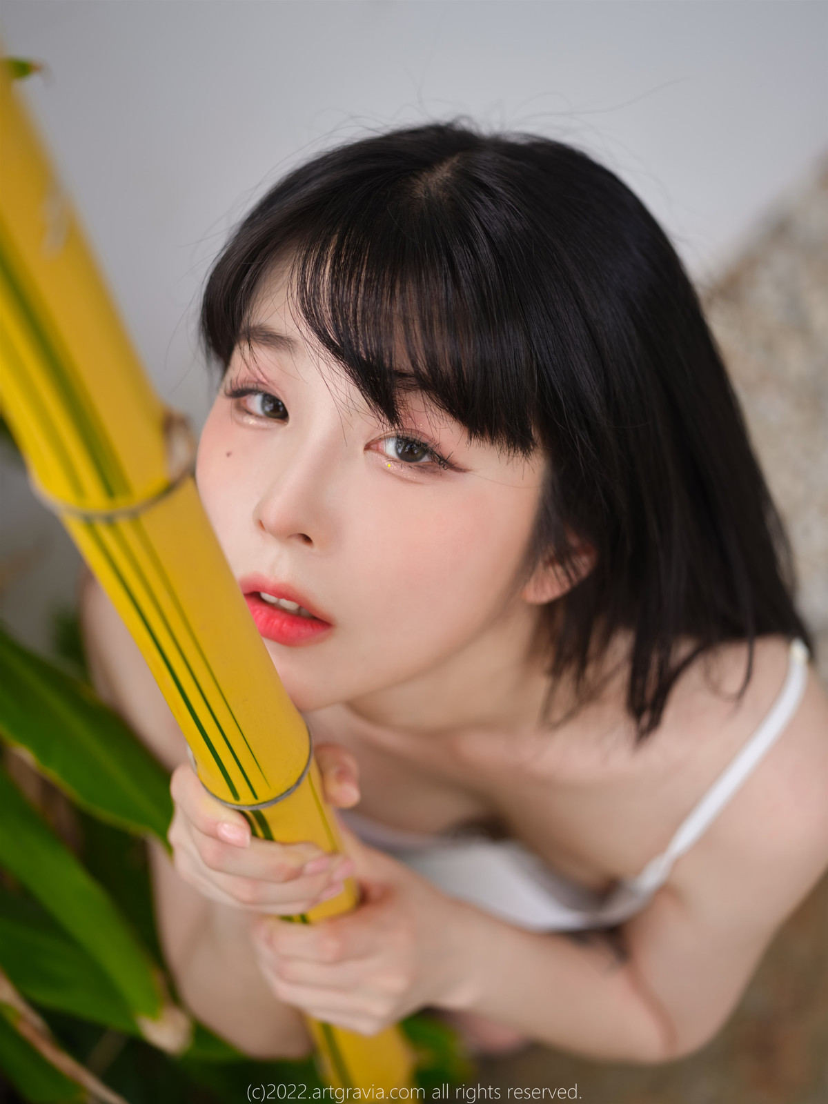 JangJoo 장주, ArtGravia Vol.454 Photobook Set.01の写真 8
