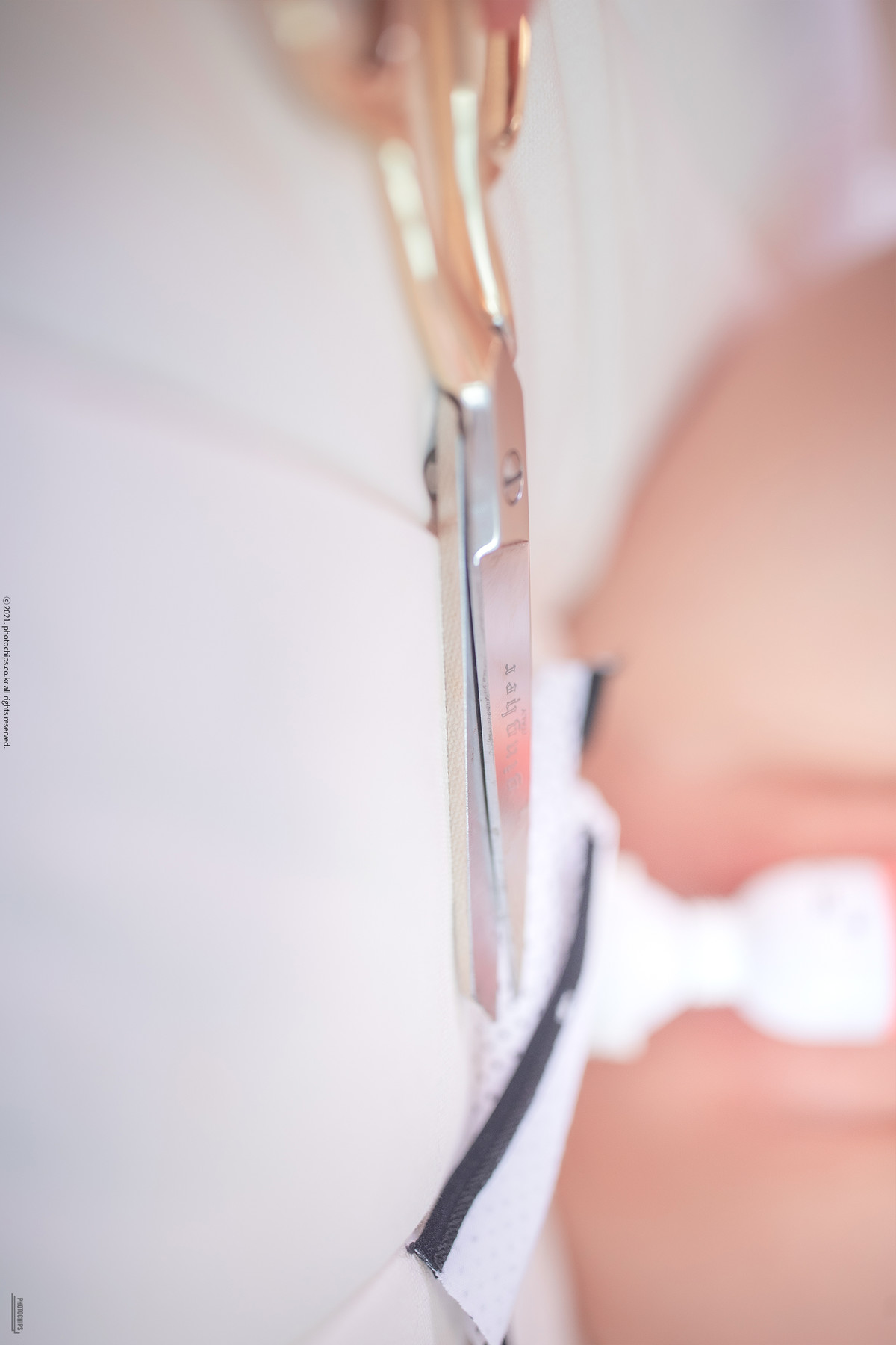 Dami 퀸다미, PhotoChips Vol.100 No.11 Set.02の写真 13