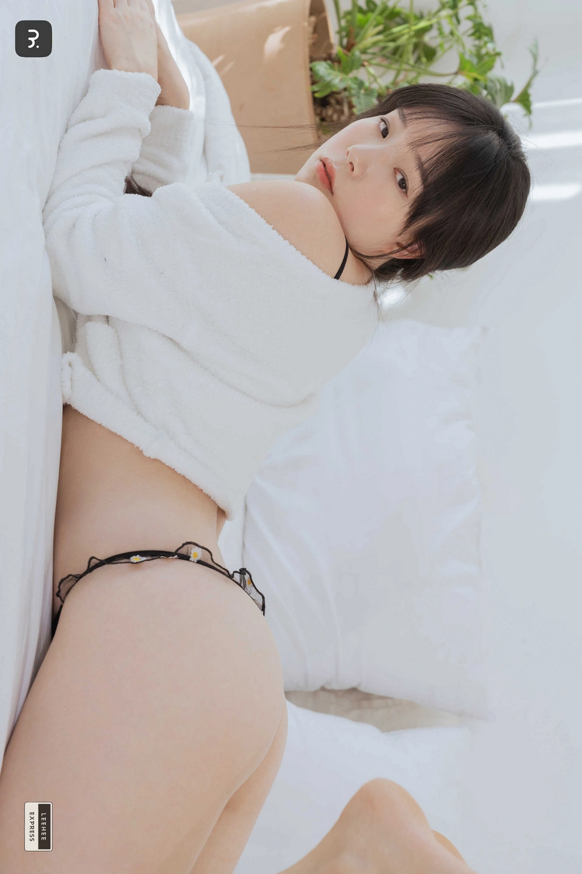 PIA 피아 Sir.Bean, LEEHEE EXPRESS LEHC-216A Set.01の写真 17