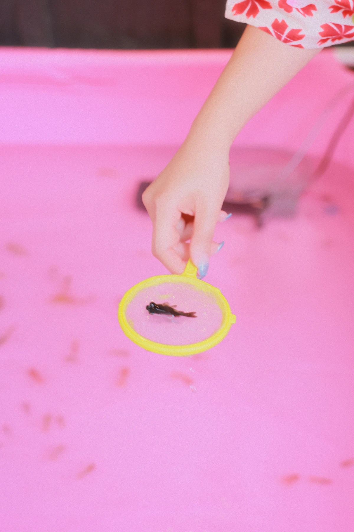Coco 수민, SWEETBOX 「Nijimori」の写真 33