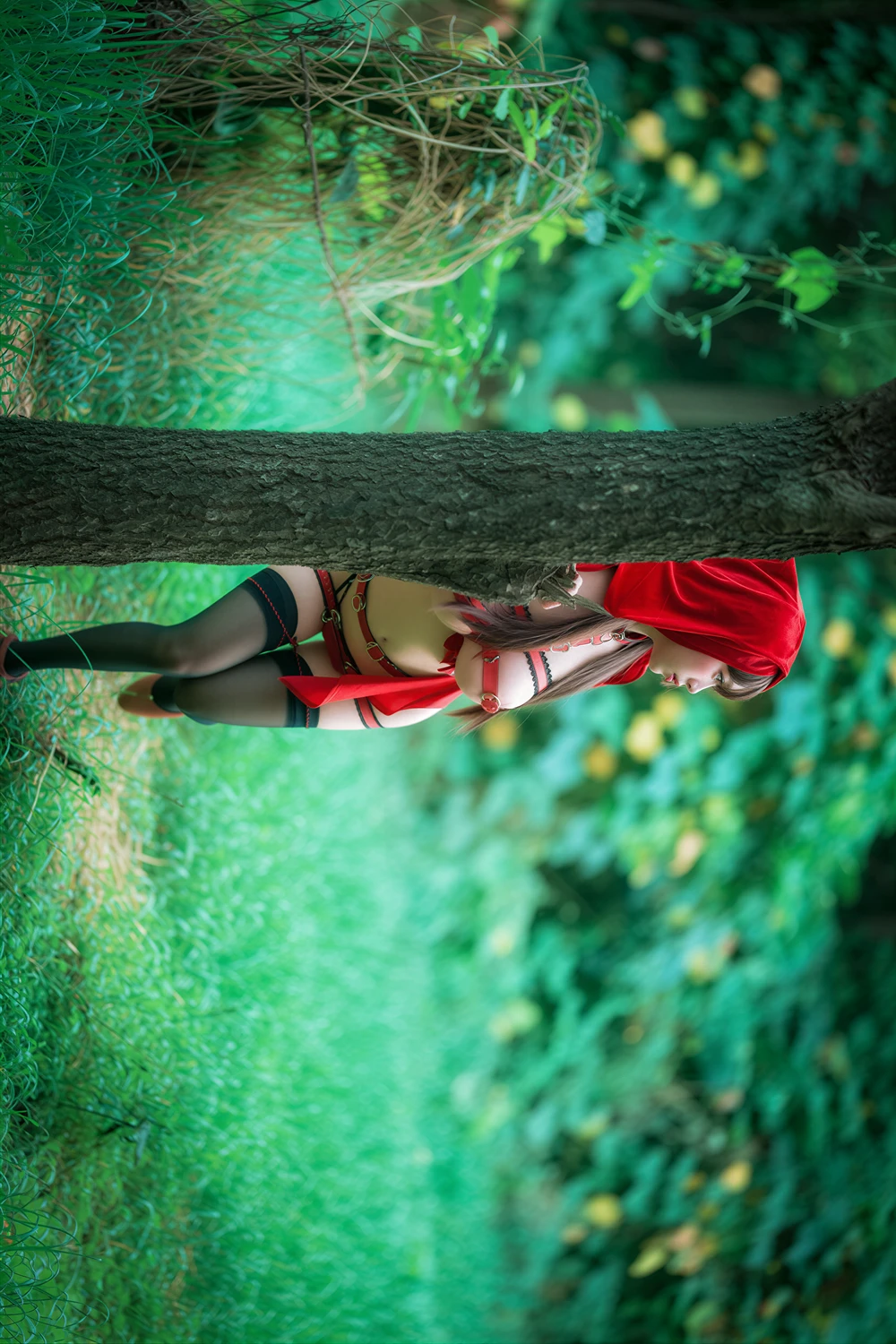 DDiDDi – DJAWA 「Cheeky Red Riding Hood」 Vol.02の写真 19