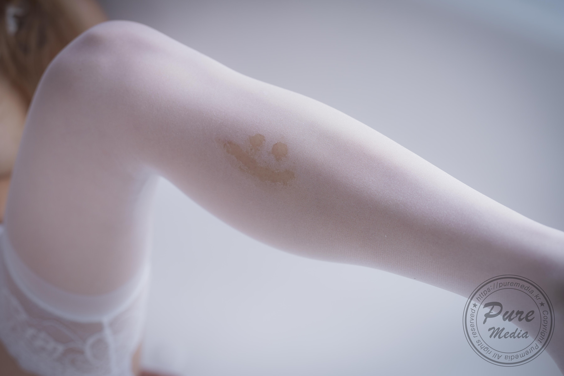 Jelly 젤리, [PURE MEDIA] Vol.246 The Maid’s Universe for the Master Set.02の写真 16