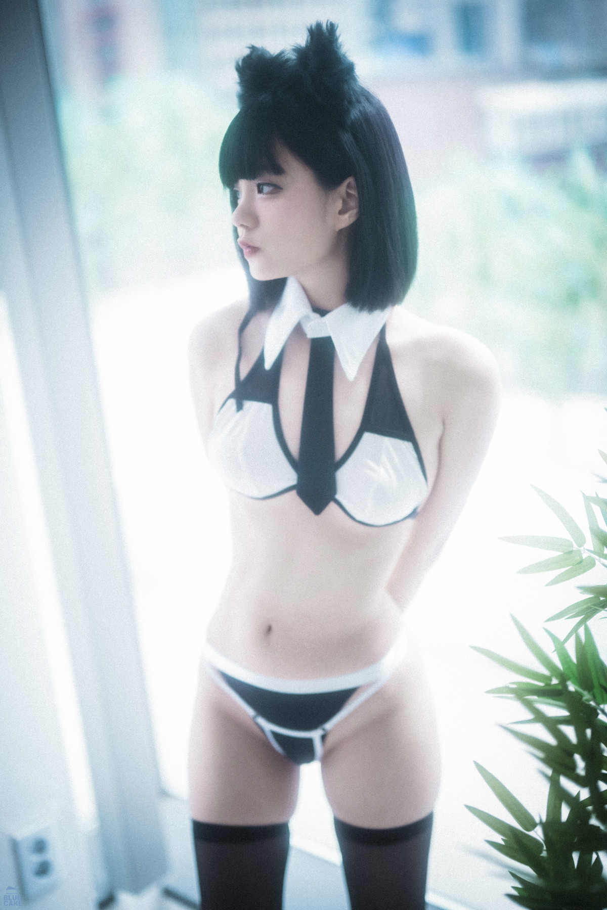 Jeong Jenny 정제니, [BLUECAKE] Meow Set.01の写真 6