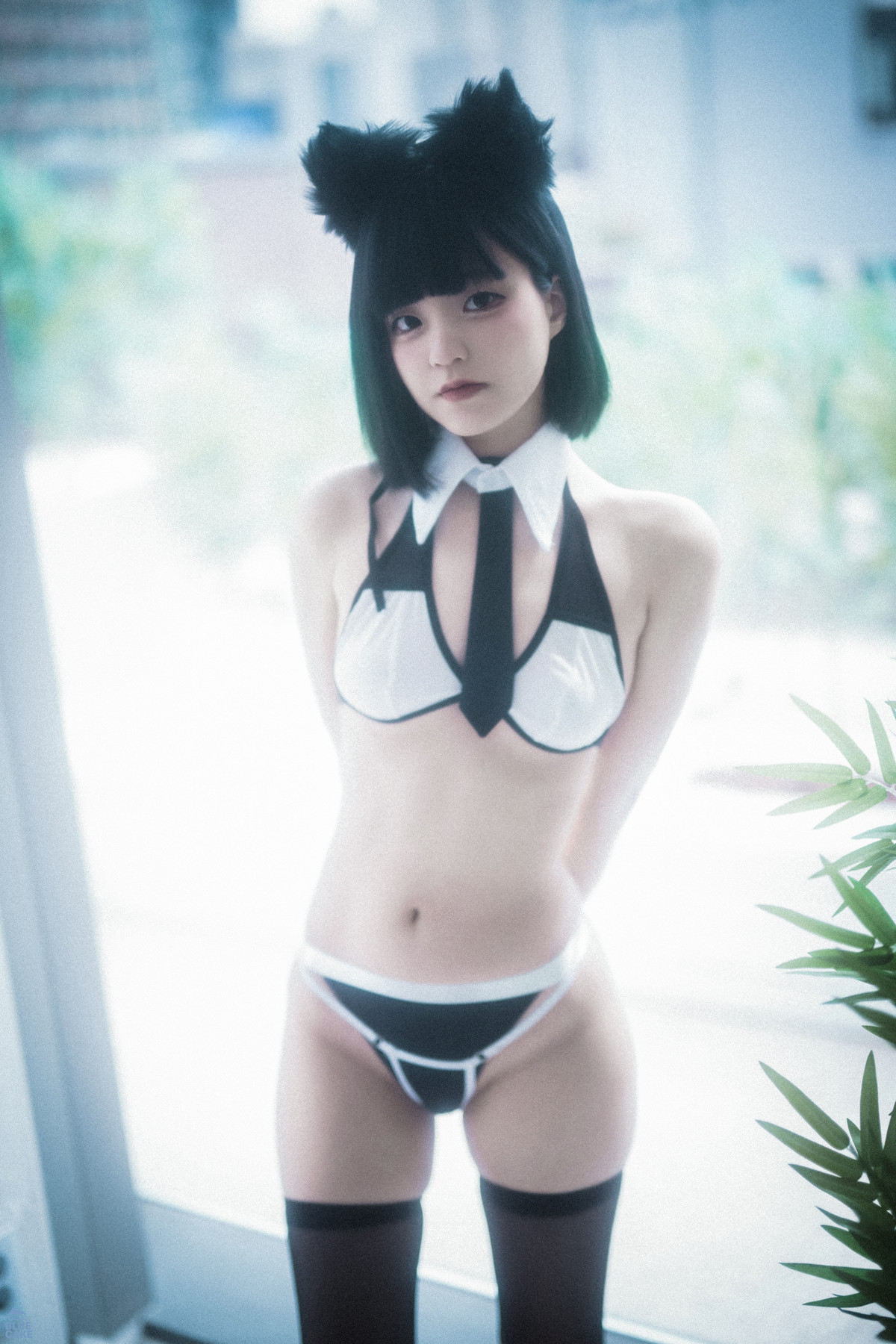 Jeong Jenny 정제니, [BLUECAKE] Meow Set.01の写真 7