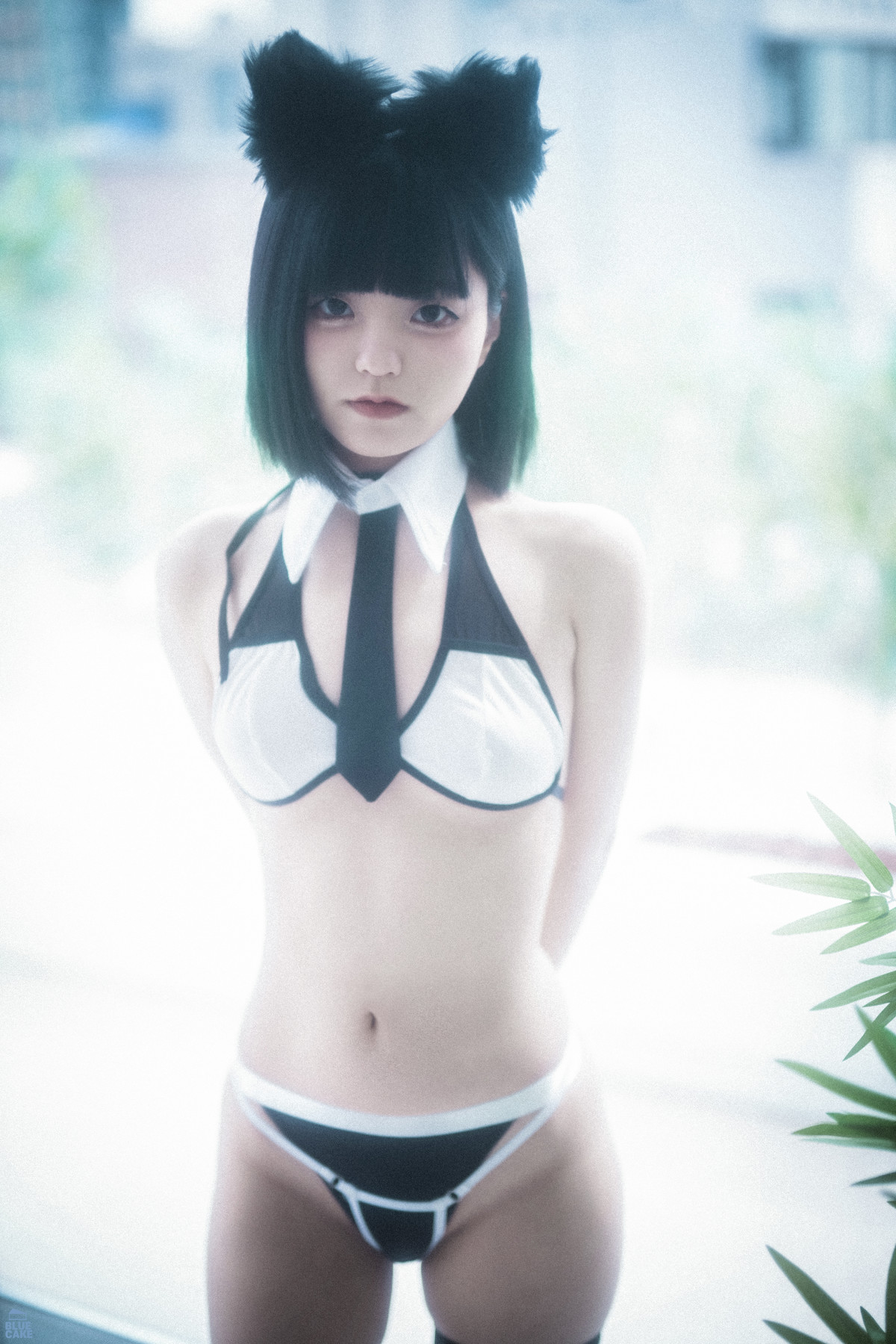 Jeong Jenny 정제니, [BLUECAKE] Meow Set.01の写真 8