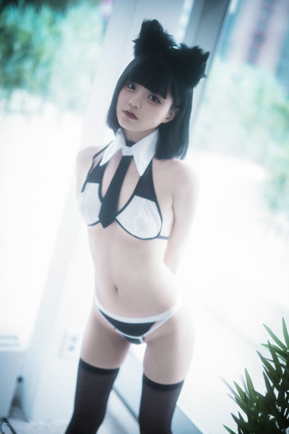 Jeong Jenny 정제니, [BLUECAKE] Meow Set.01の写真 12