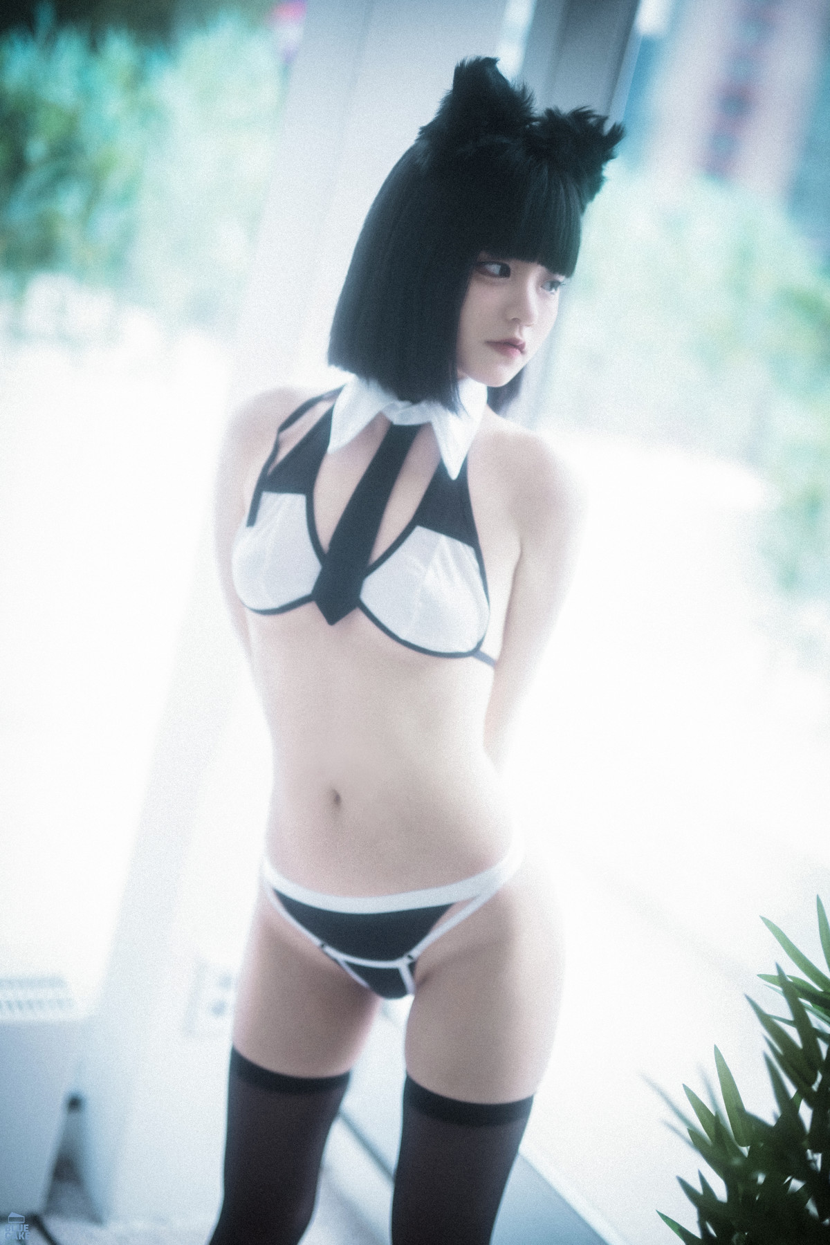Jeong Jenny 정제니, [BLUECAKE] Meow Set.01の写真 13
