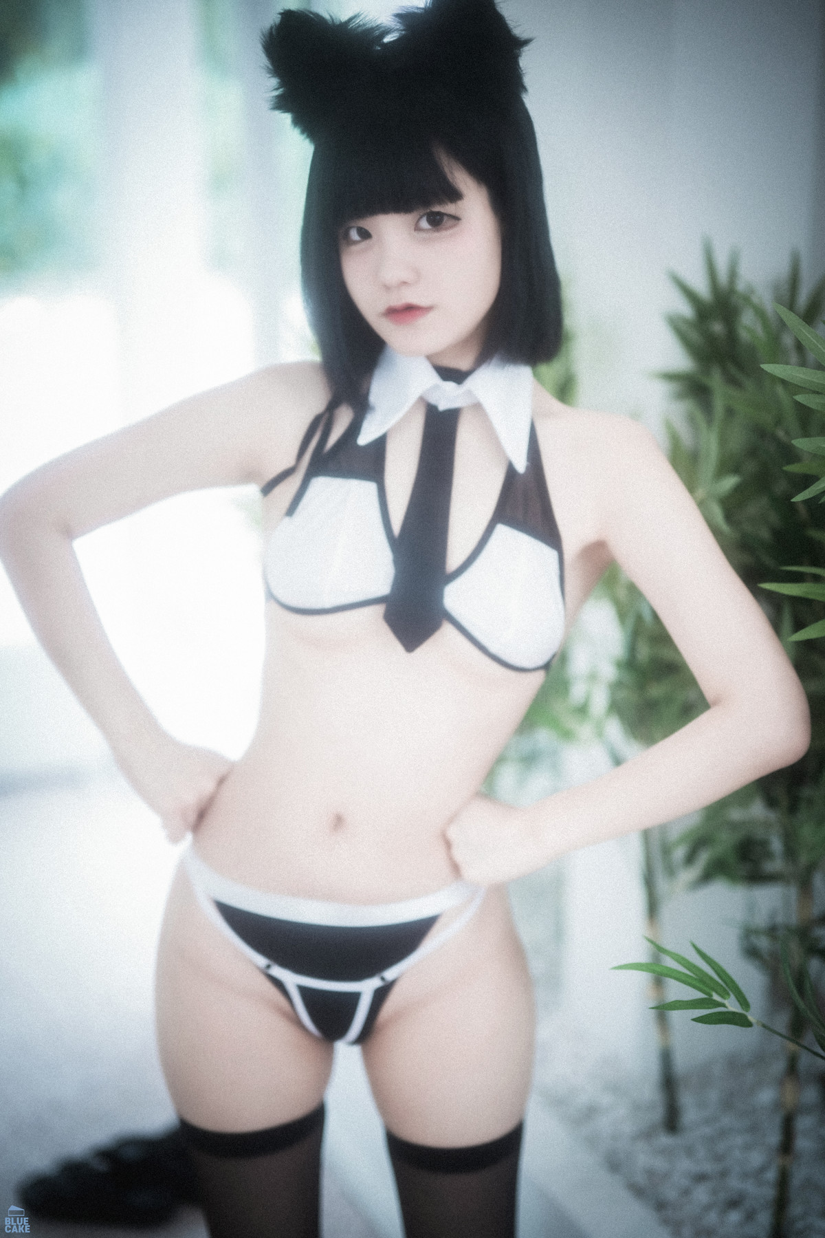 Jeong Jenny 정제니, [BLUECAKE] Meow Set.01の写真 47