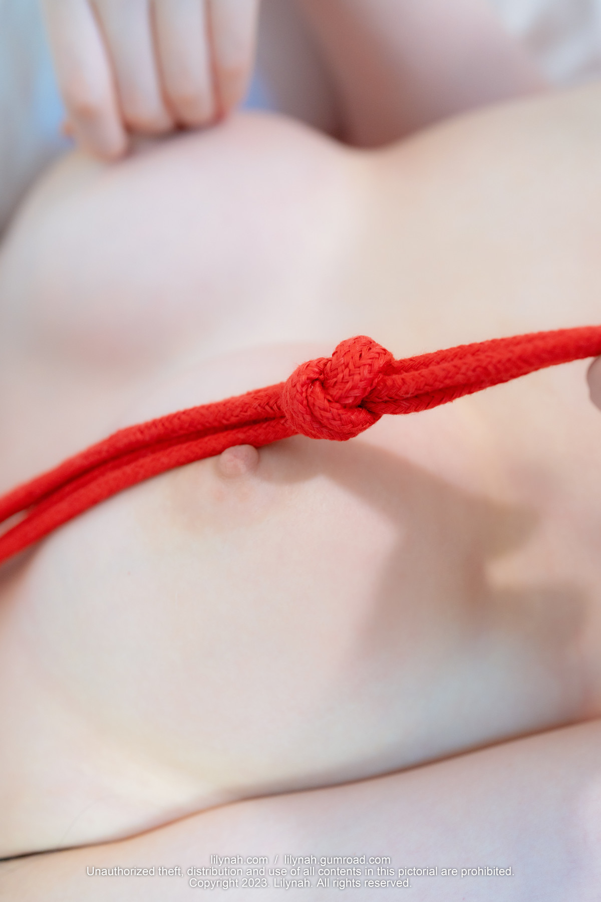 Heejae 희재, [Lilynah] LW071 Red Ropeの写真 59