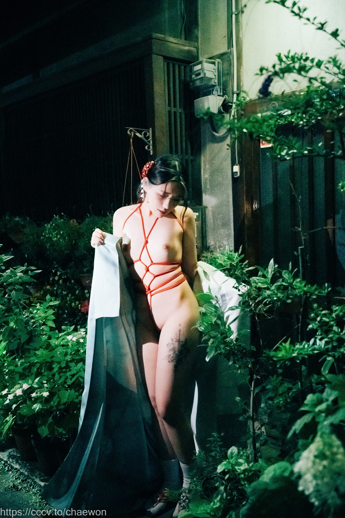 Sonson 손손, [Loozy] Osakas Set.01の写真 27