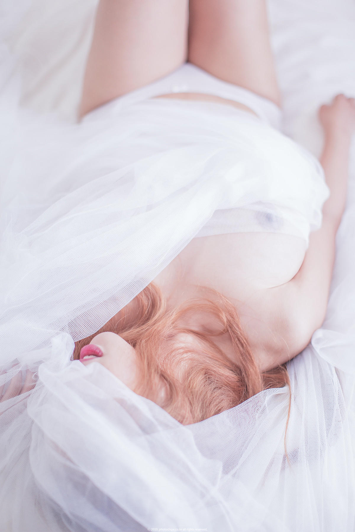 Bokbunjajoo 복분자주, [PhotoChips] Vol.23 No.2 포토칩스는 Set.01の写真 2