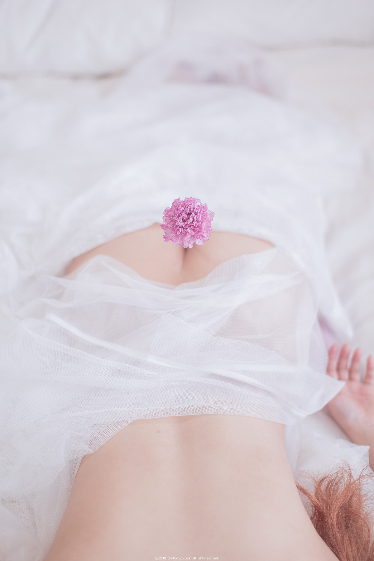 Bokbunjajoo 복분자주, [PhotoChips] Vol.23 No.2 포토칩스는 Set.01の写真 17