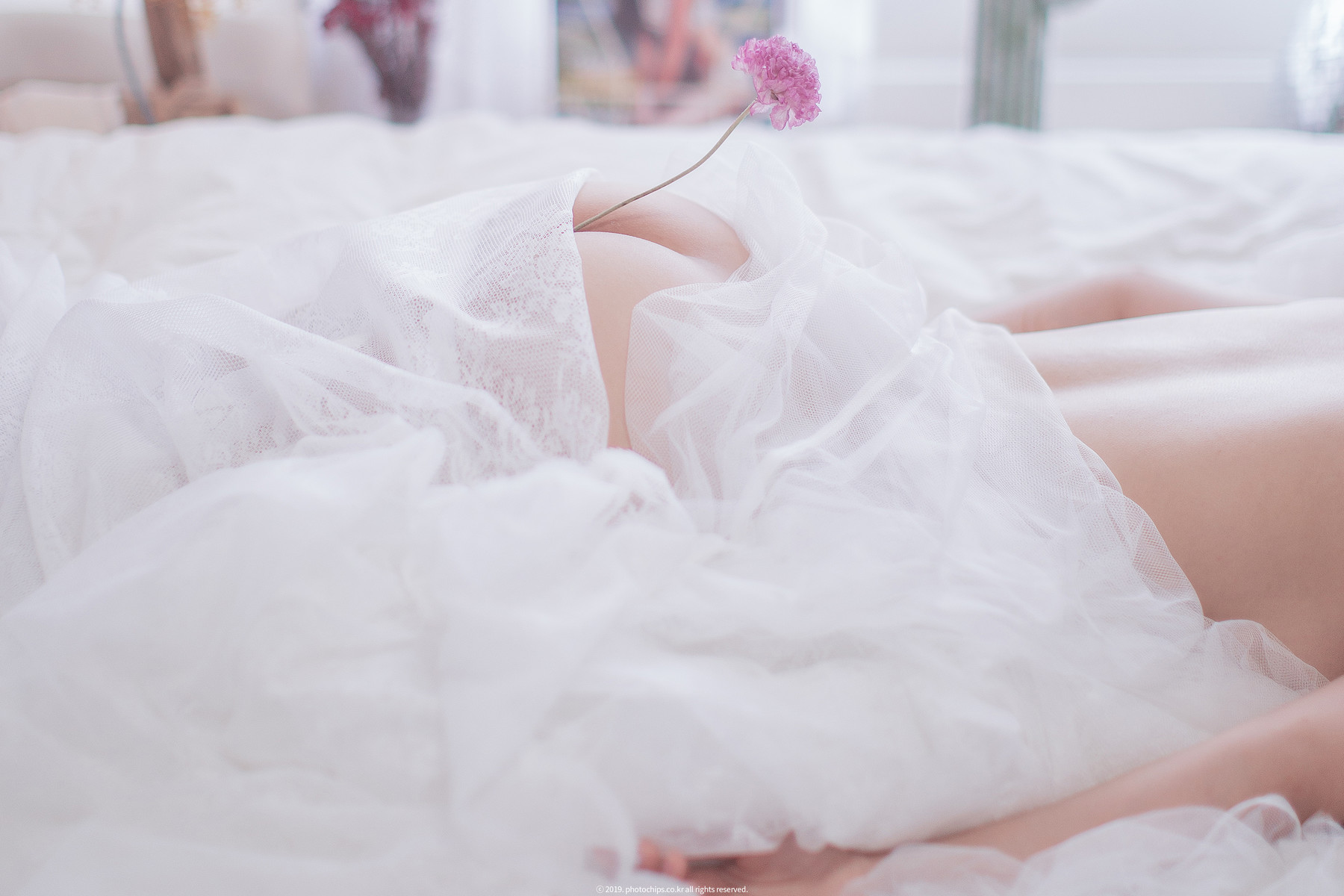 Bokbunjajoo 복분자주, [PhotoChips] Vol.23 No.2 포토칩스는 Set.01の写真 18