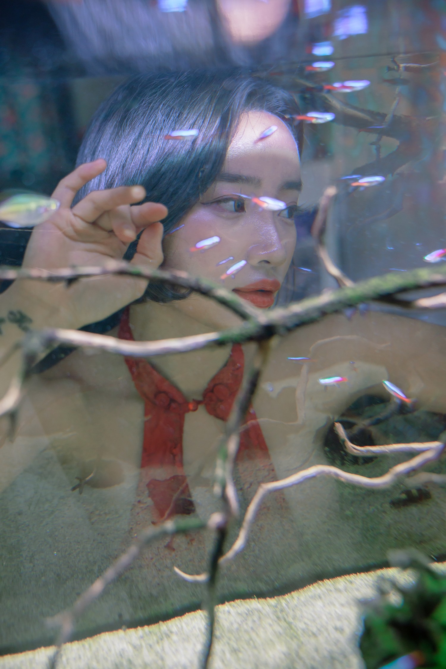 Booty Queen, [SWEETBOX] Hip Queen Set.03の写真 12