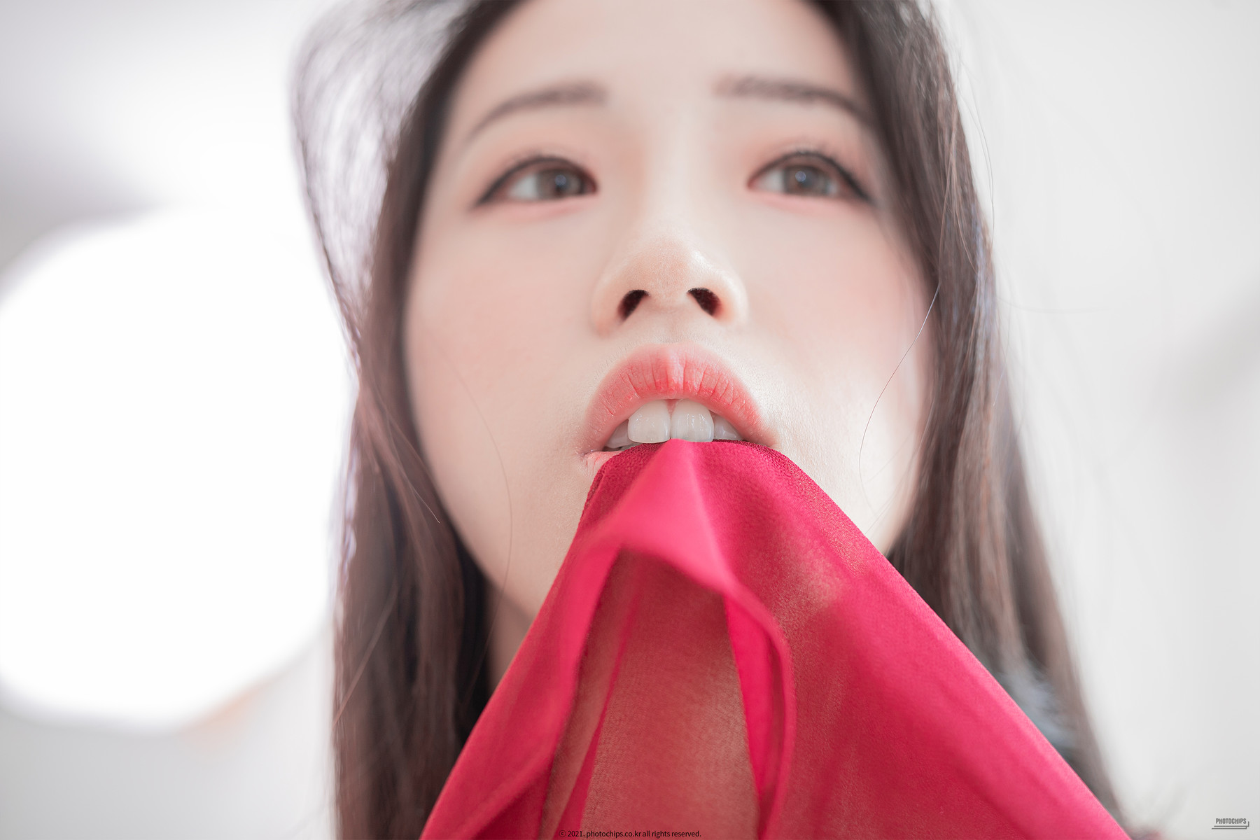 Dami 퀸다미, [PhotoChips] 포토칩스는 Vol.76の写真 45